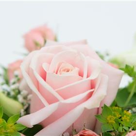 fwthumbRose Bag Close Up.jpg